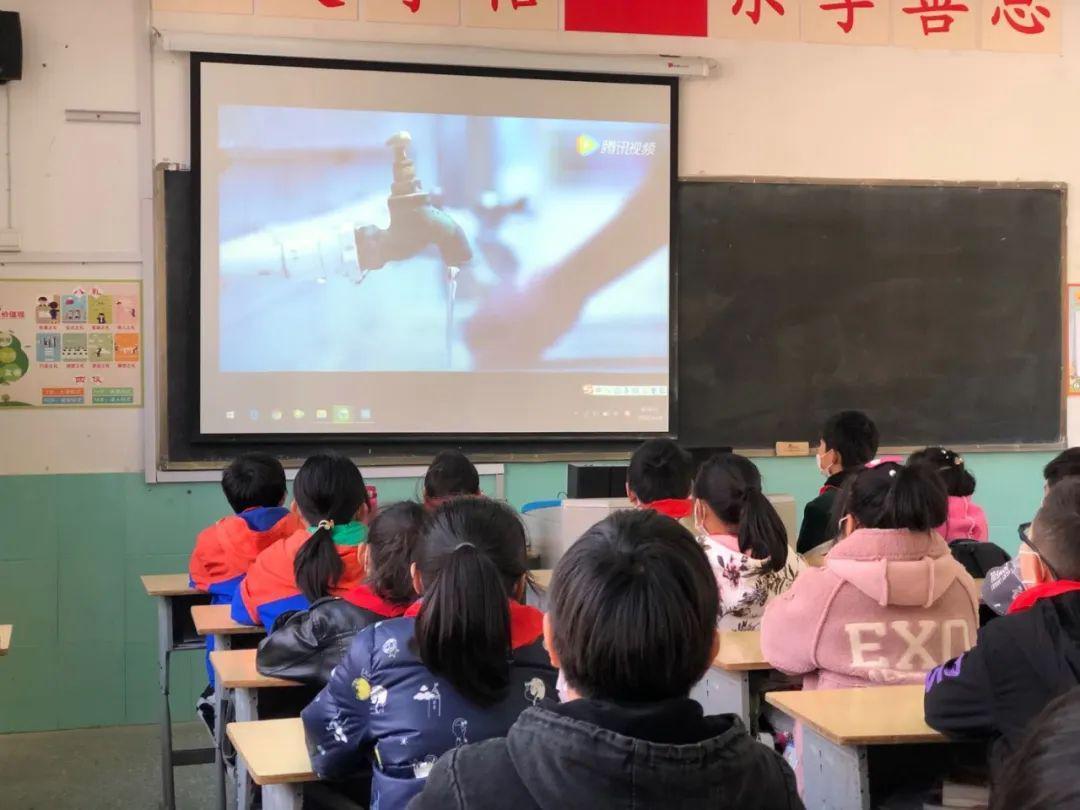 解救可爱的鸭子